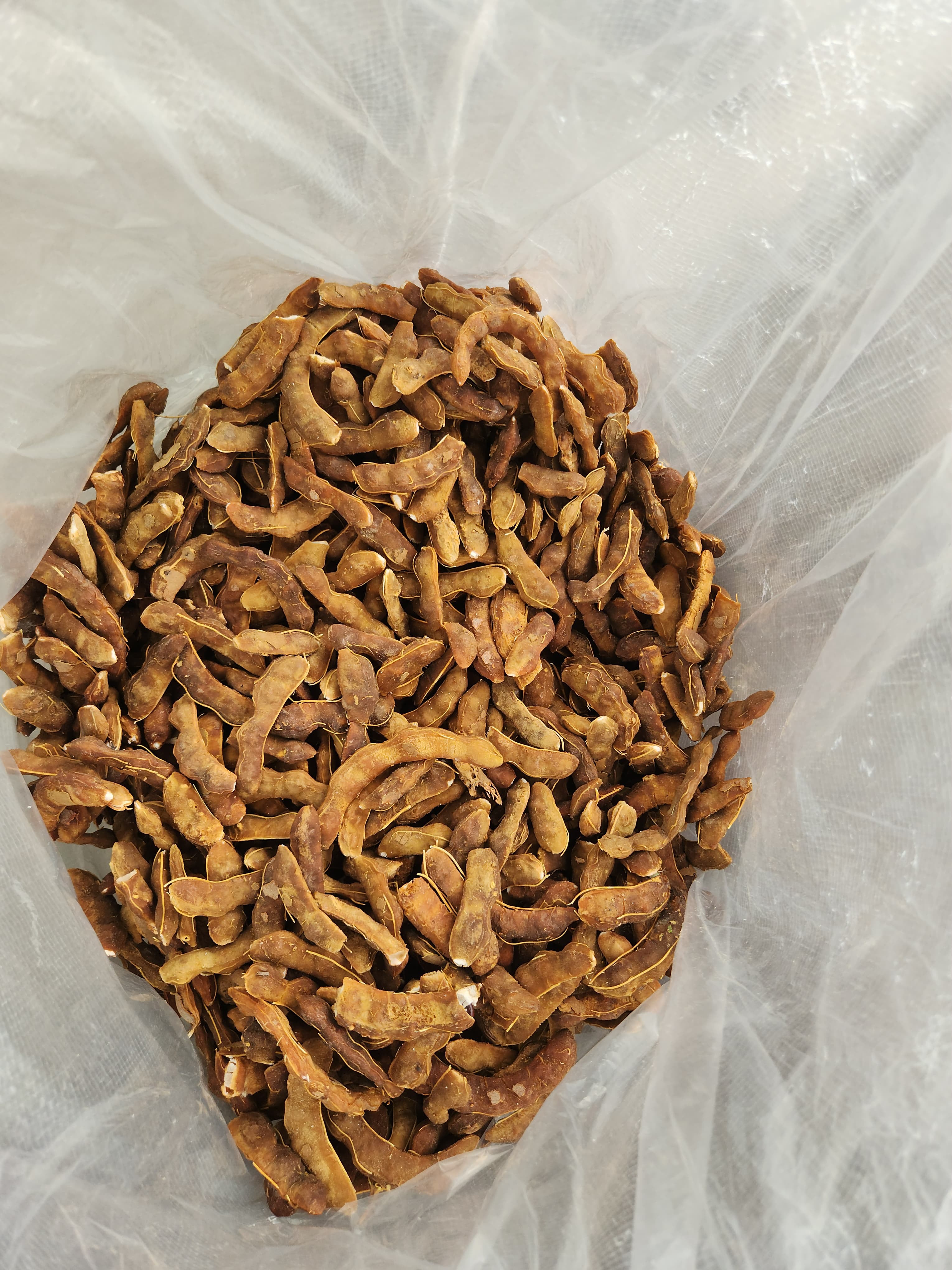 Tamarind pods in a lined bag
